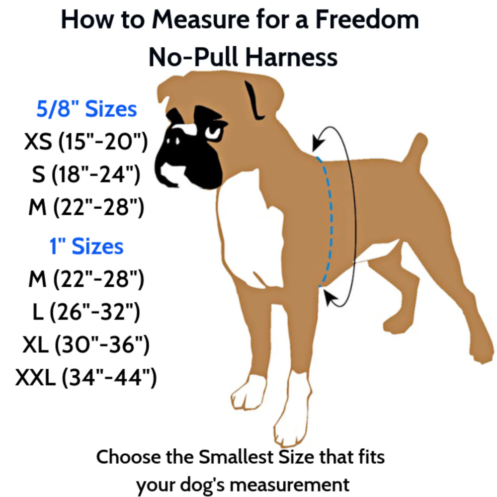Freedom No-Pull Harness in Spice (Made in the USA) - Image 7