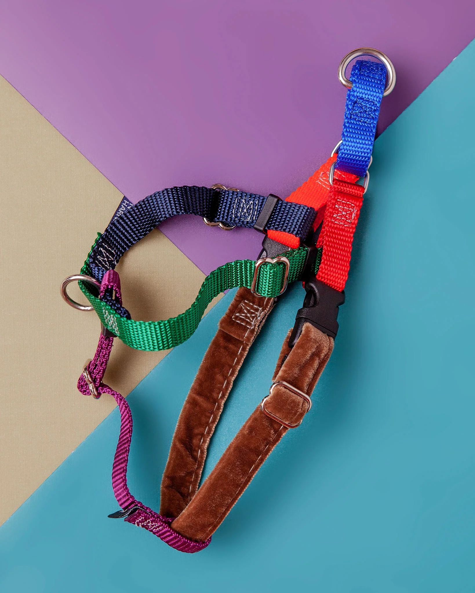 Freedom No-Pull Harness in Spice (Made in the USA) - Image 8