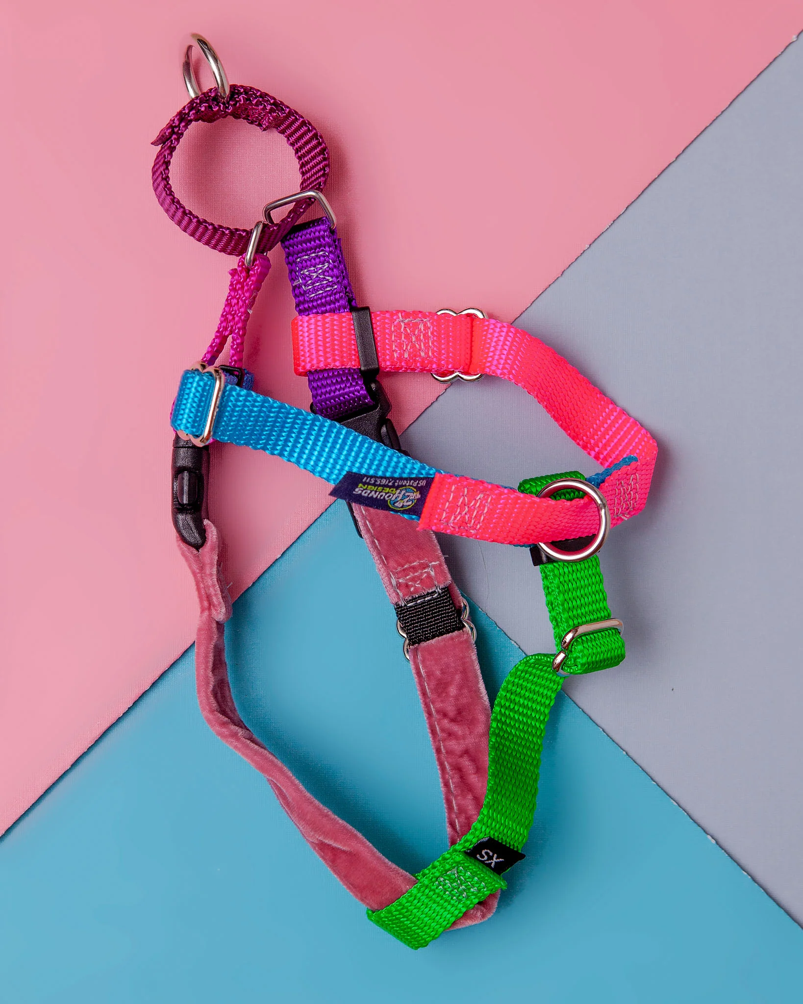 Freedom No-Pull Harness in Sugar (Made in the USA) (CLEARANCE)