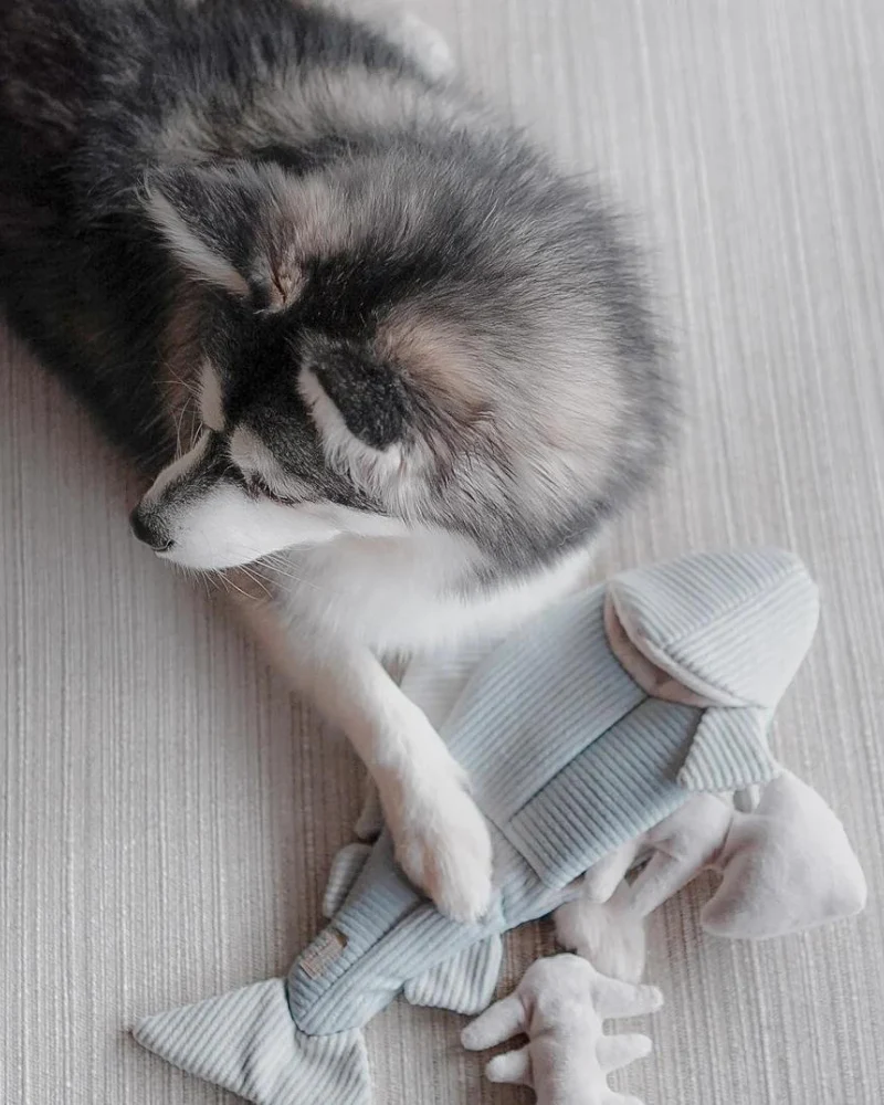 2-IN-1 Burrow + Snuggle Trout Fish Dog Toy - Image 3