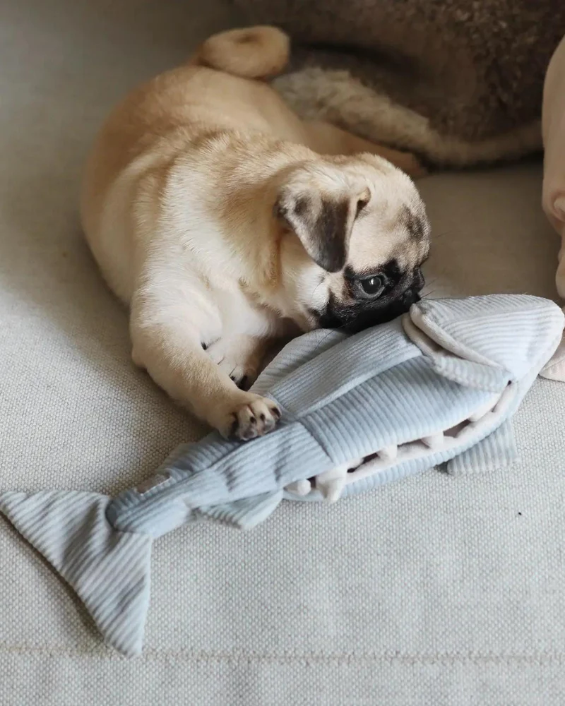 2-IN-1 Burrow + Snuggle Trout Fish Dog Toy - Image 4