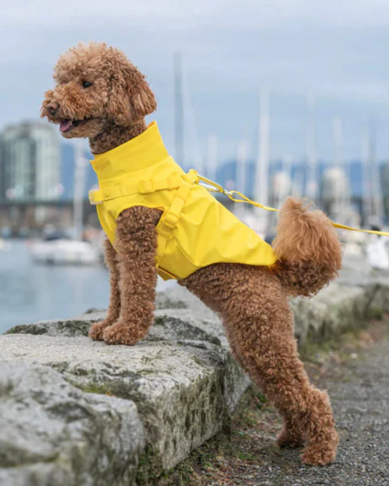2-In-1 Dog Harness Raincoat in Yellow - Image 4