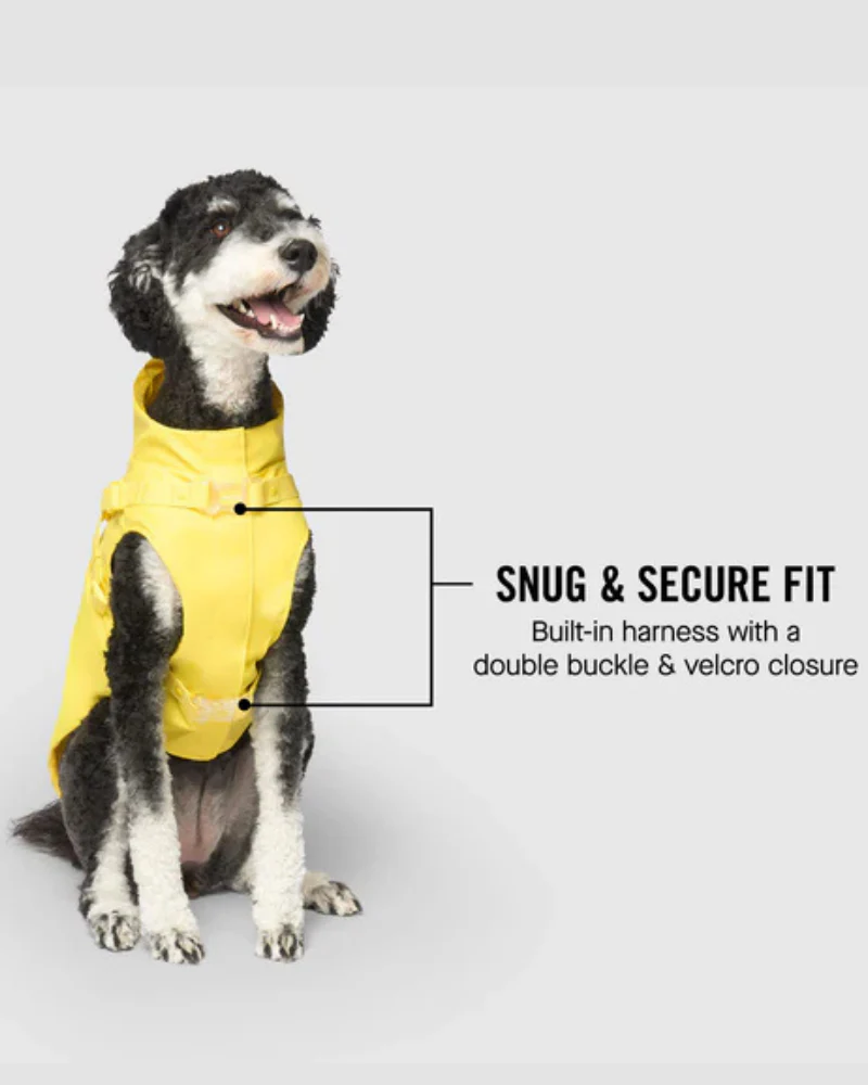 2-In-1 Dog Harness Raincoat in Yellow - Image 5