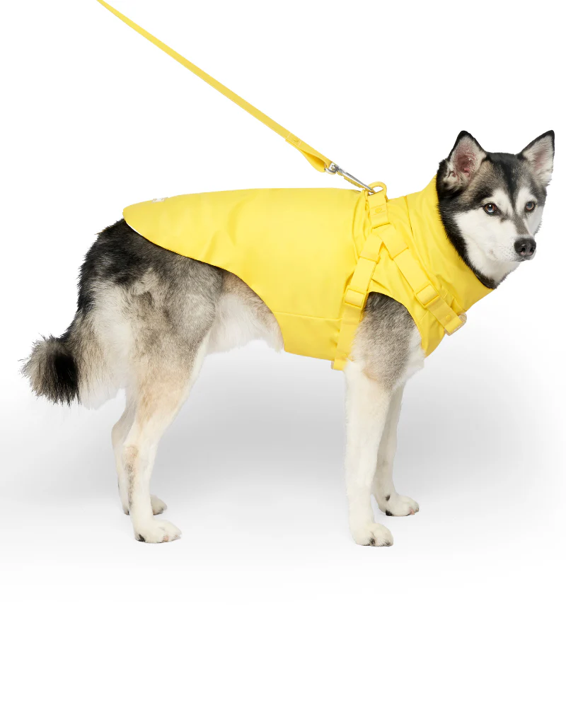 2-In-1 Dog Harness Raincoat in Yellow - Image 7