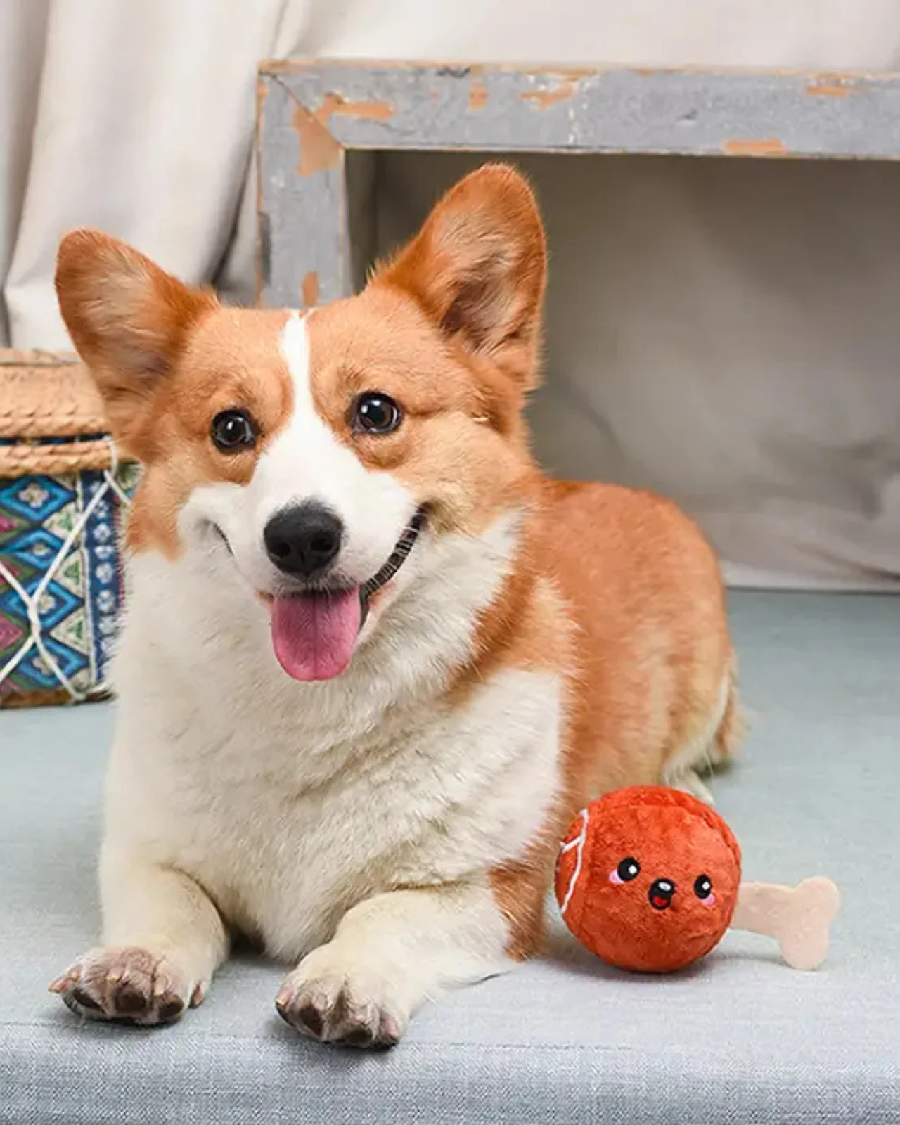 2-in-1 Squeaky Turkey Leg Dog Ball - Image 4