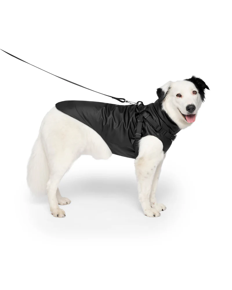 2-In-1 Dog Harness Raincoat in Black - Image 3