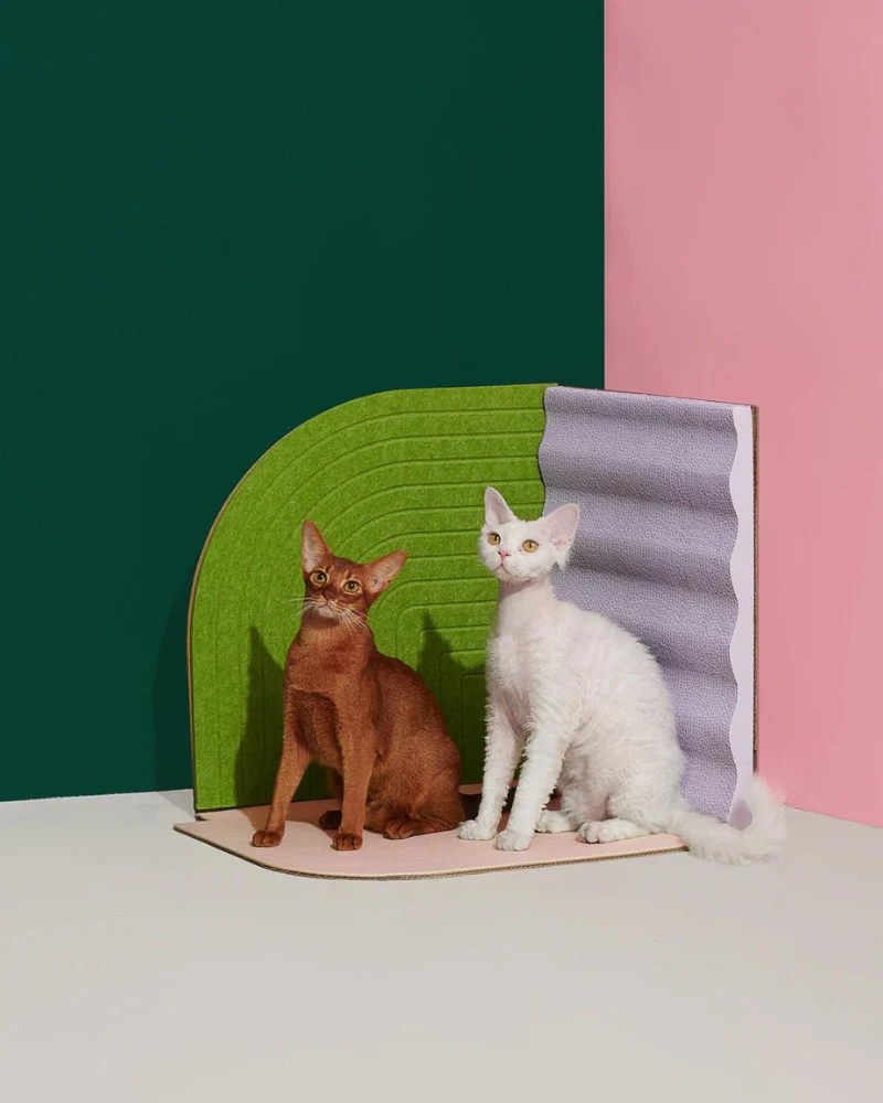 3-Dimensional Cat Scratcher