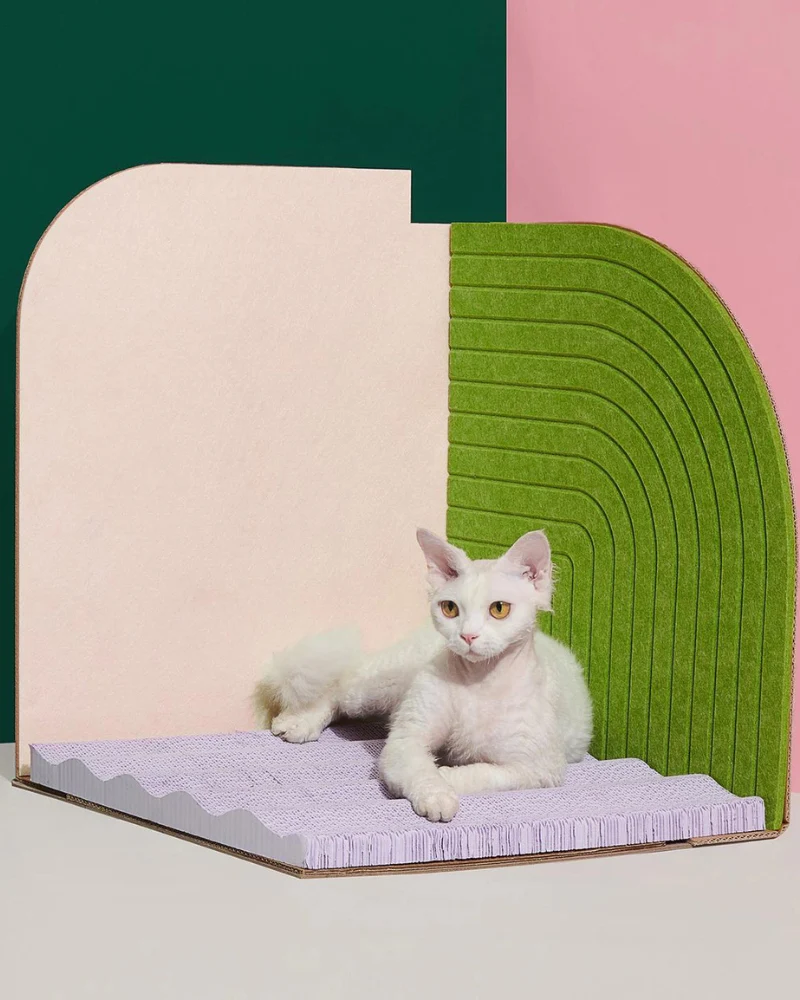 3-Dimensional Cat Scratcher - Image 2