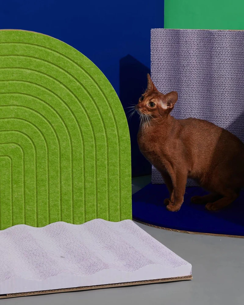 3-Dimensional Cat Scratcher - Image 5