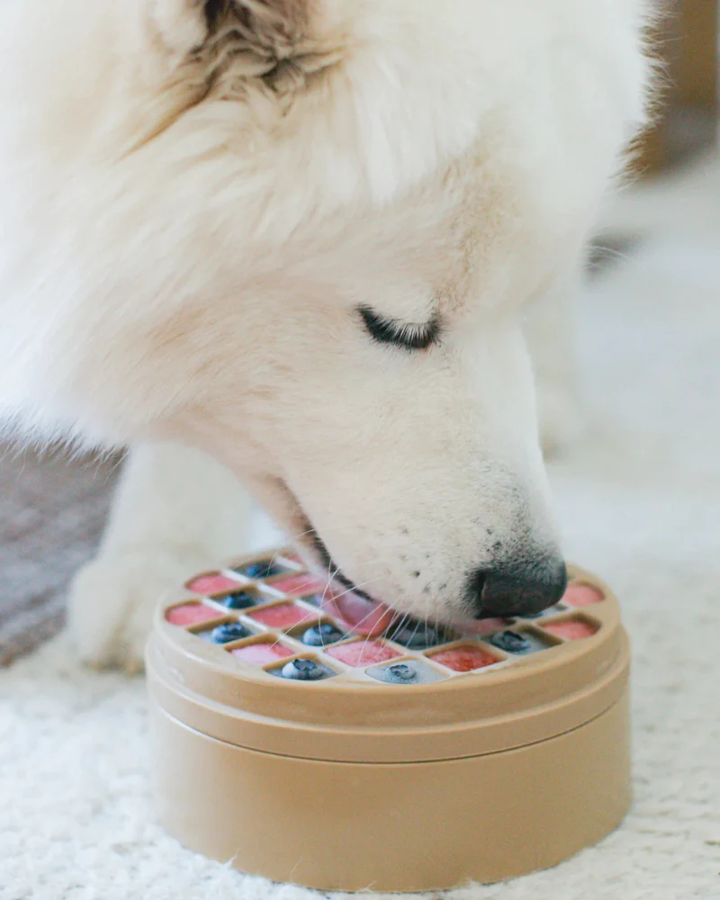 3-in-1 Bento Elevated Slow Feeder + Lick Mat - Image 4