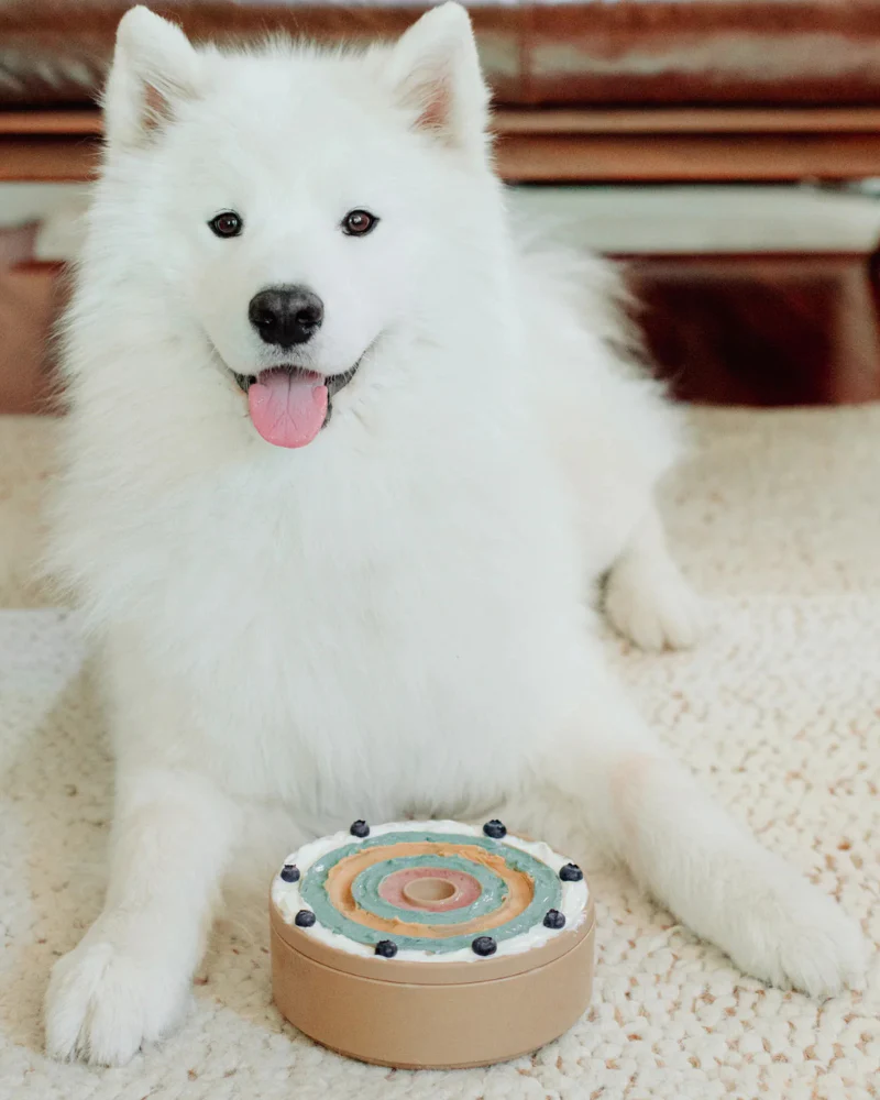 3-in-1 Bento Elevated Slow Feeder + Lick Mat - Image 6