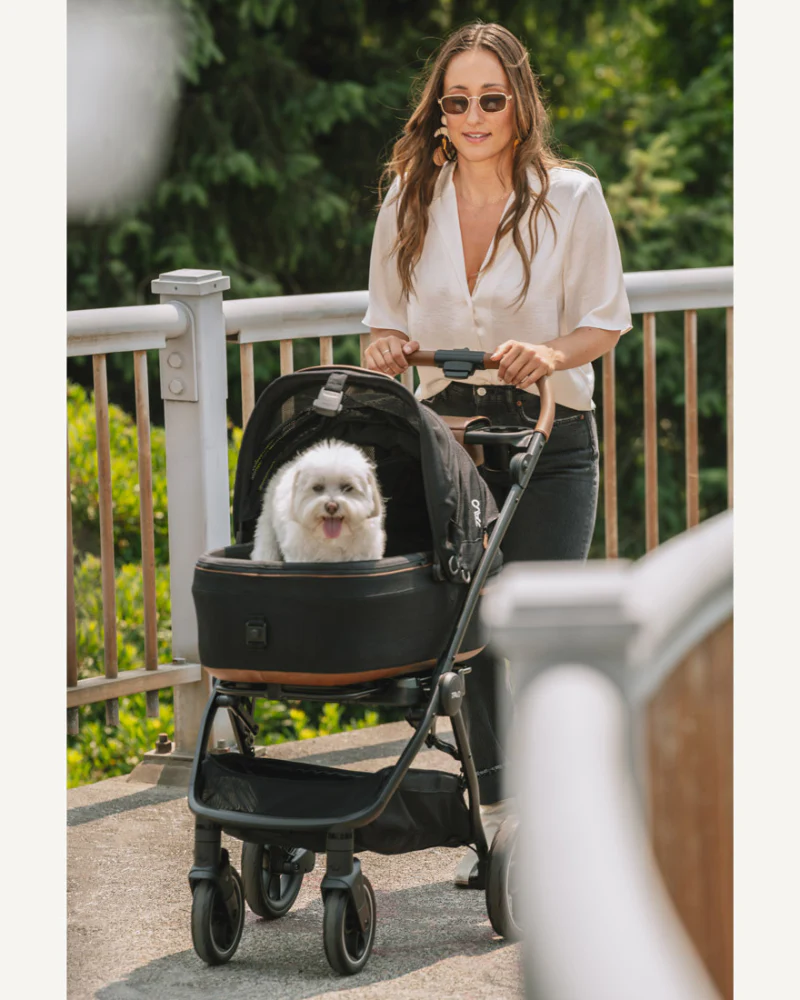 Maeve™ + Roscoe™ 3-in-1 Pet Stroller & Car Seat - Image 10