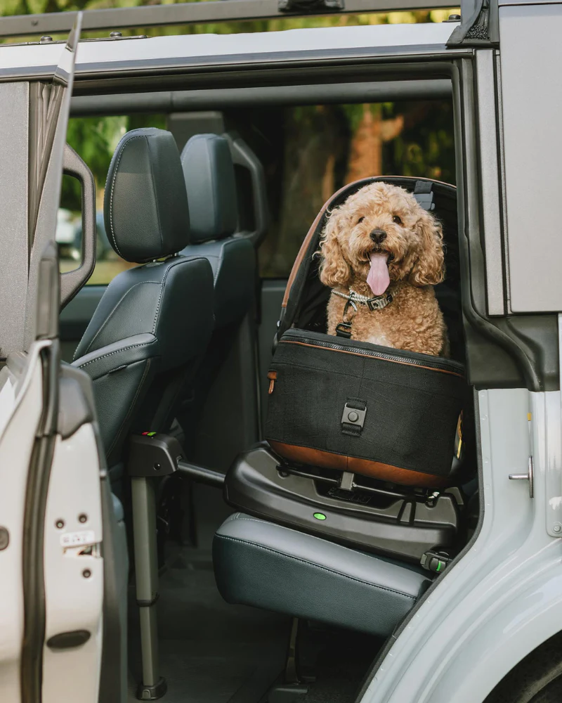Maeve™ + Roscoe™ 3-in-1 Pet Stroller & Car Seat - Image 5