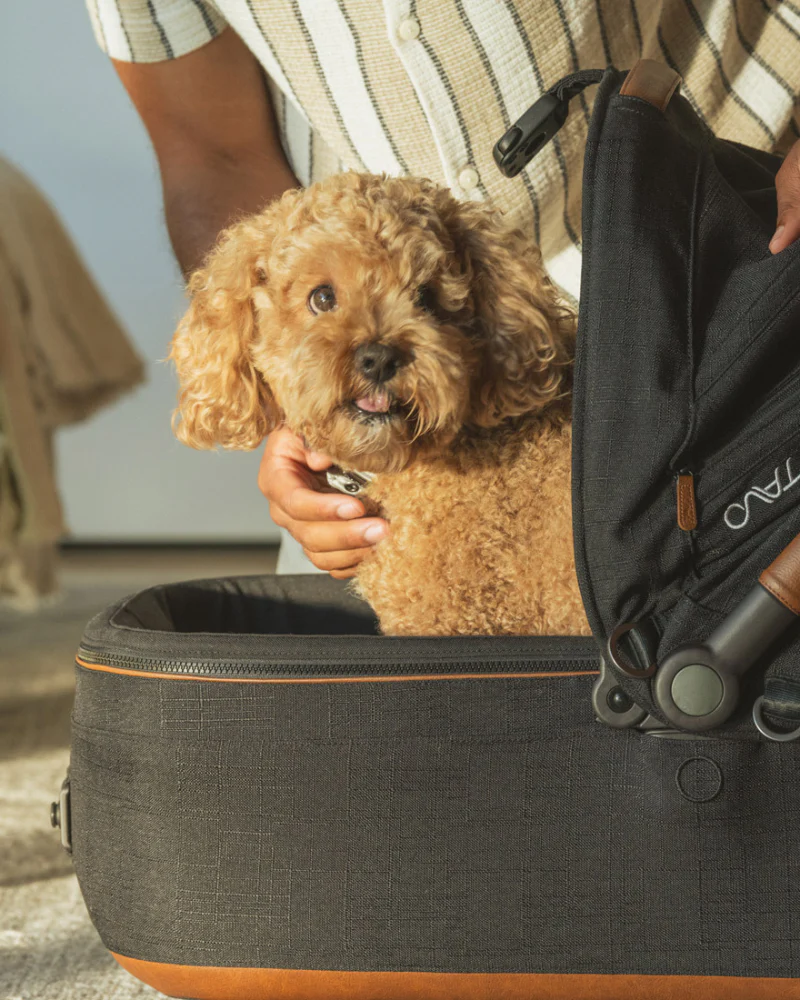 Maeve™ + Roscoe™ 3-in-1 Pet Stroller & Car Seat - Image 6