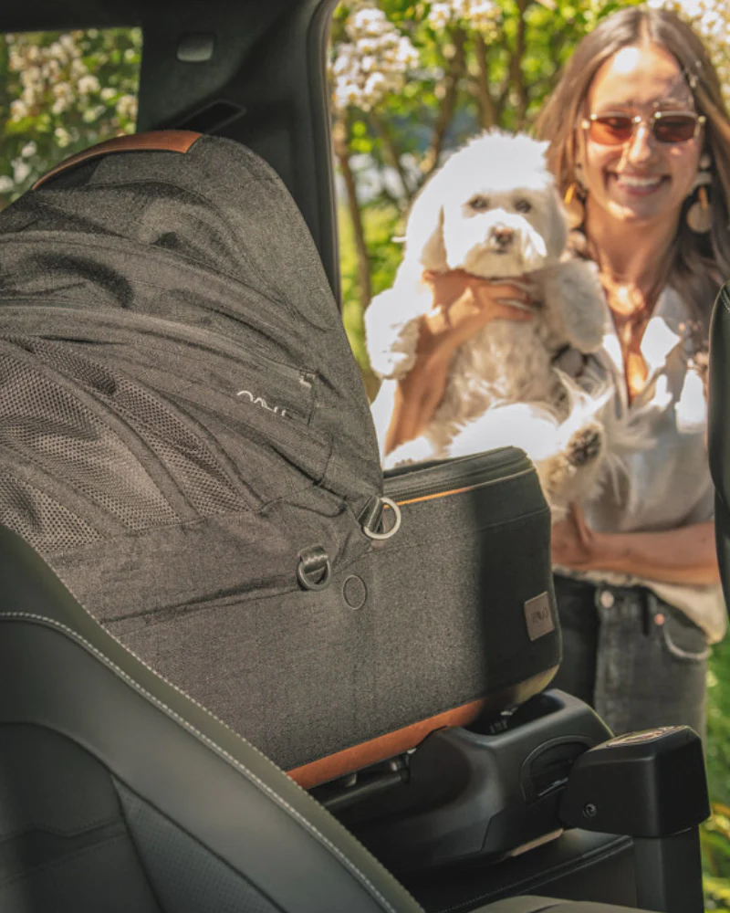 Maeve™ + Roscoe™ 3-in-1 Pet Stroller & Car Seat - Image 7