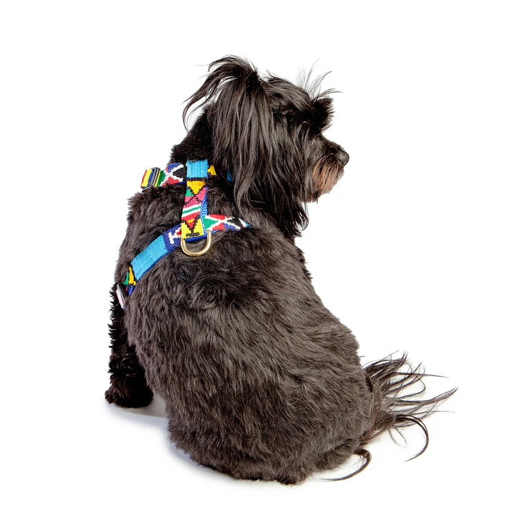 A TAIL WE COULD WAG | Moab Sky Harness - Image 2