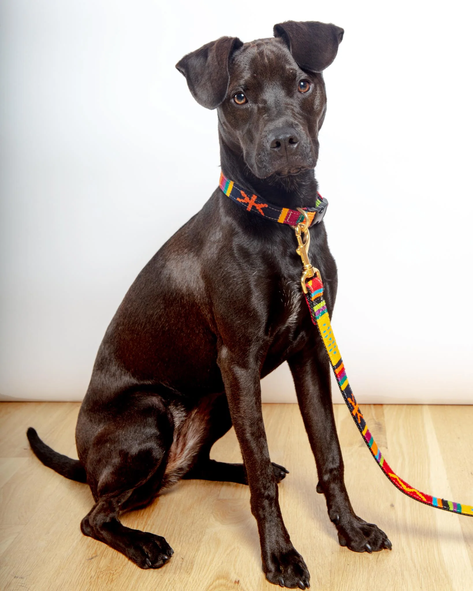 Sun Valley Holiday Collar (Made in the USA) (FINAL SALE) - Image 8