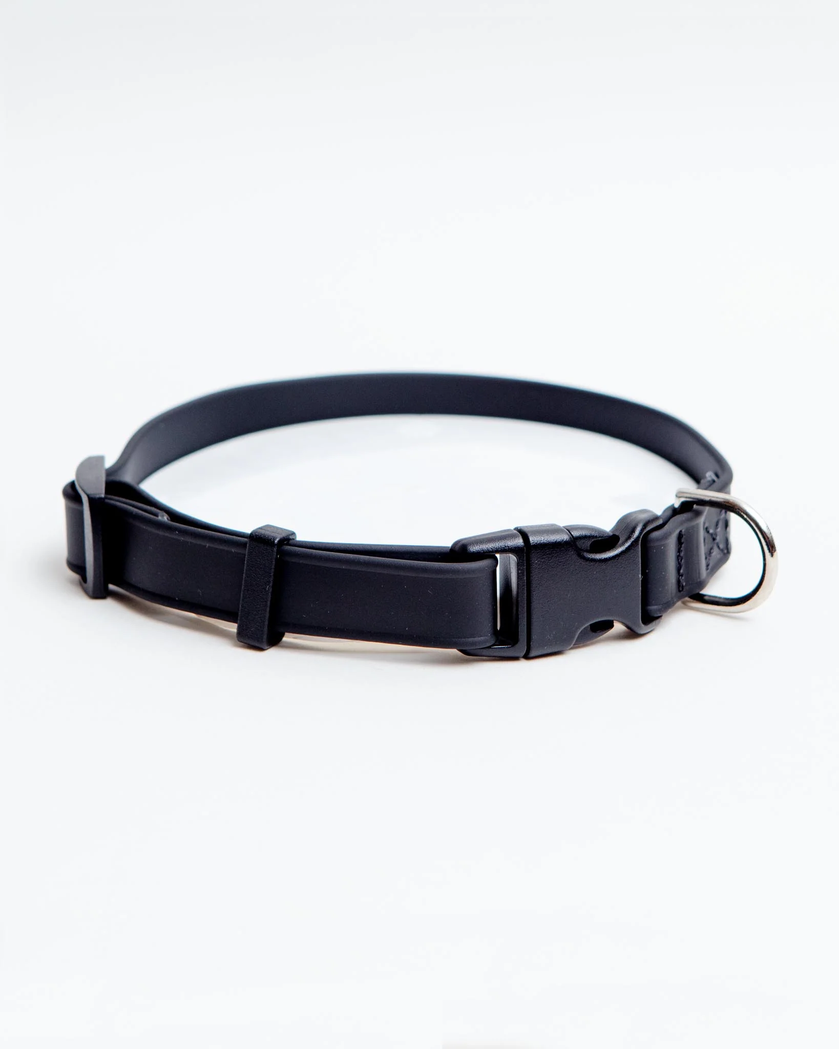 A Walk in the Park Dog Collar in Black (Made in the USA) - Image 3