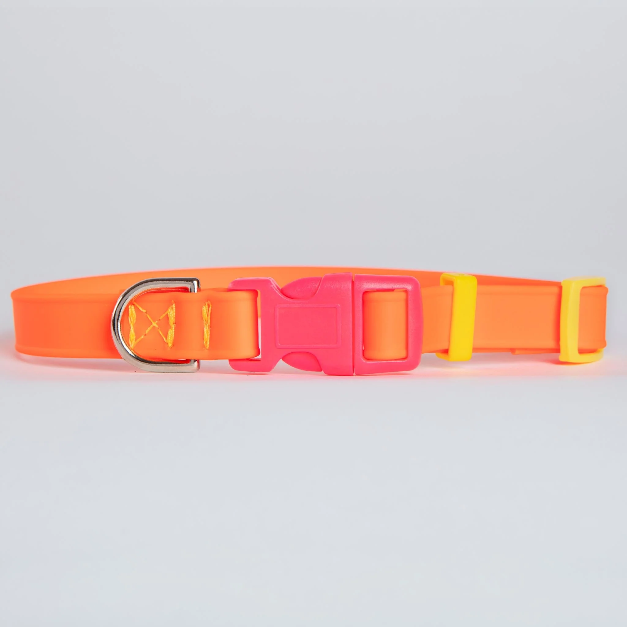 A Walk in the Park Dog Collar in Neon Orange (Made in the USA)