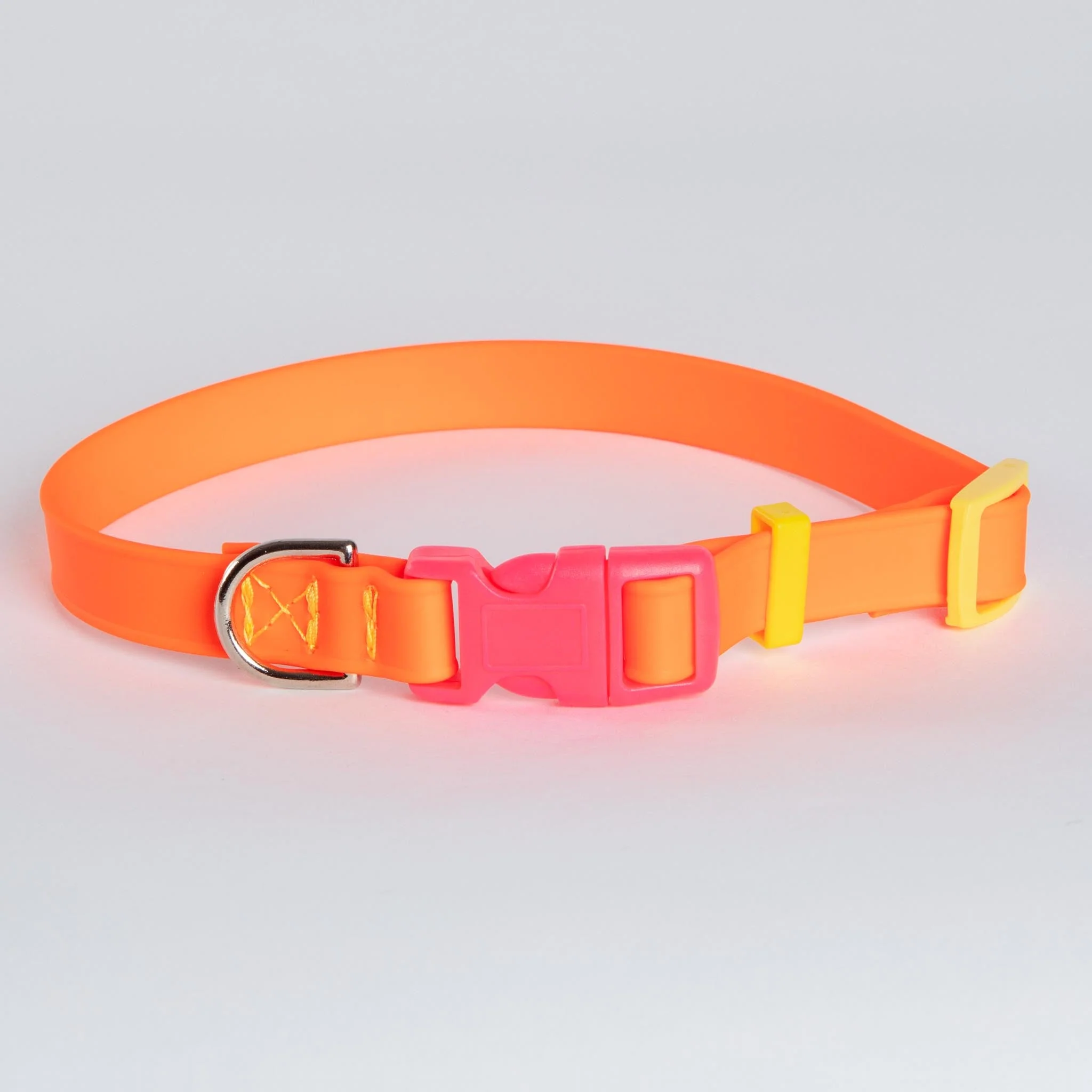 A Walk in the Park Dog Collar in Neon Orange (Made in the USA) - Image 4