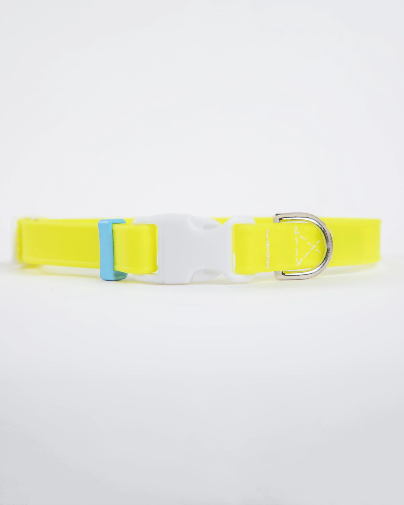 A Walk in the Park Dog Collar in Neon Yellow (Made in the USA) - Image 3