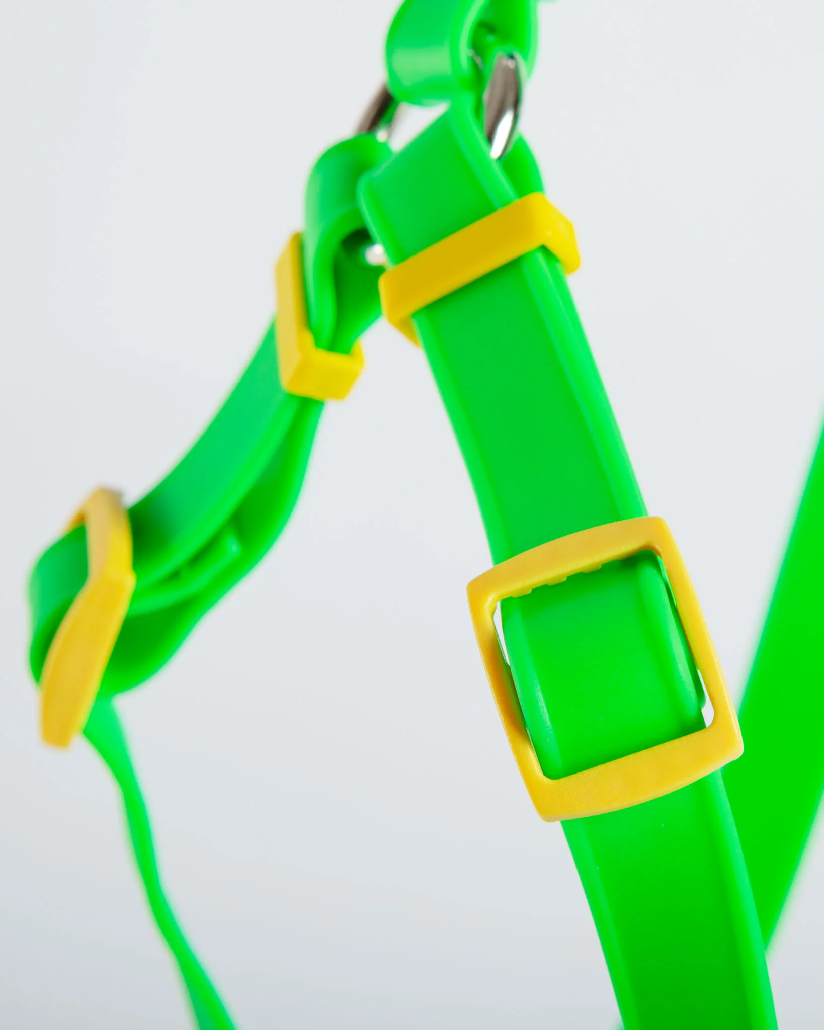 A Walk in the Park Dog Harness (Made in the USA) (FINAL SALE) - Image 5