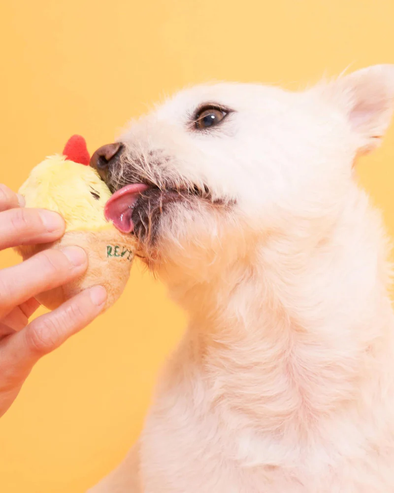 AAA+ Egg Nose Work Dog Toy - Image 8