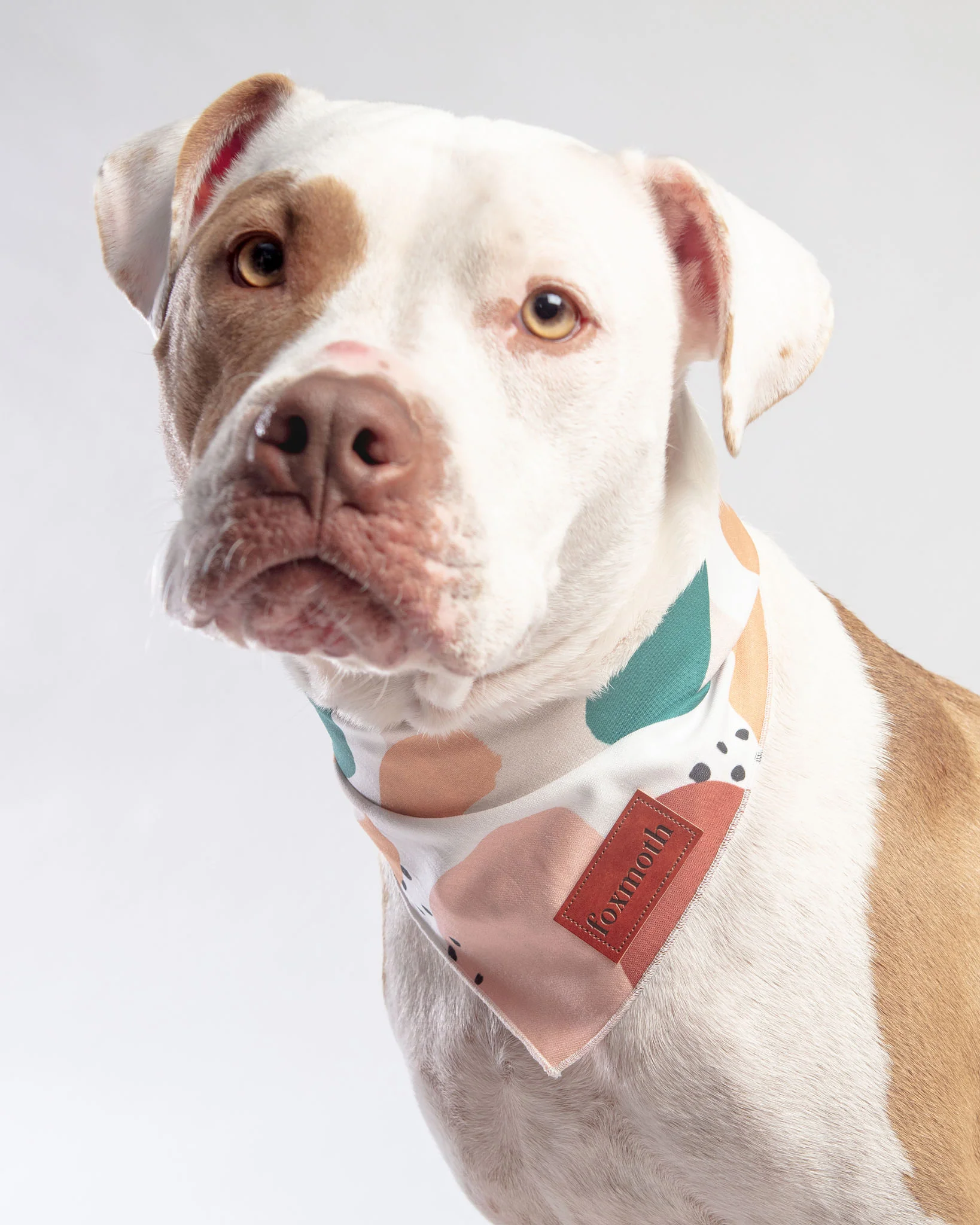 Abstract Boho Print Dog Bandana<br>(FINAL SALE)