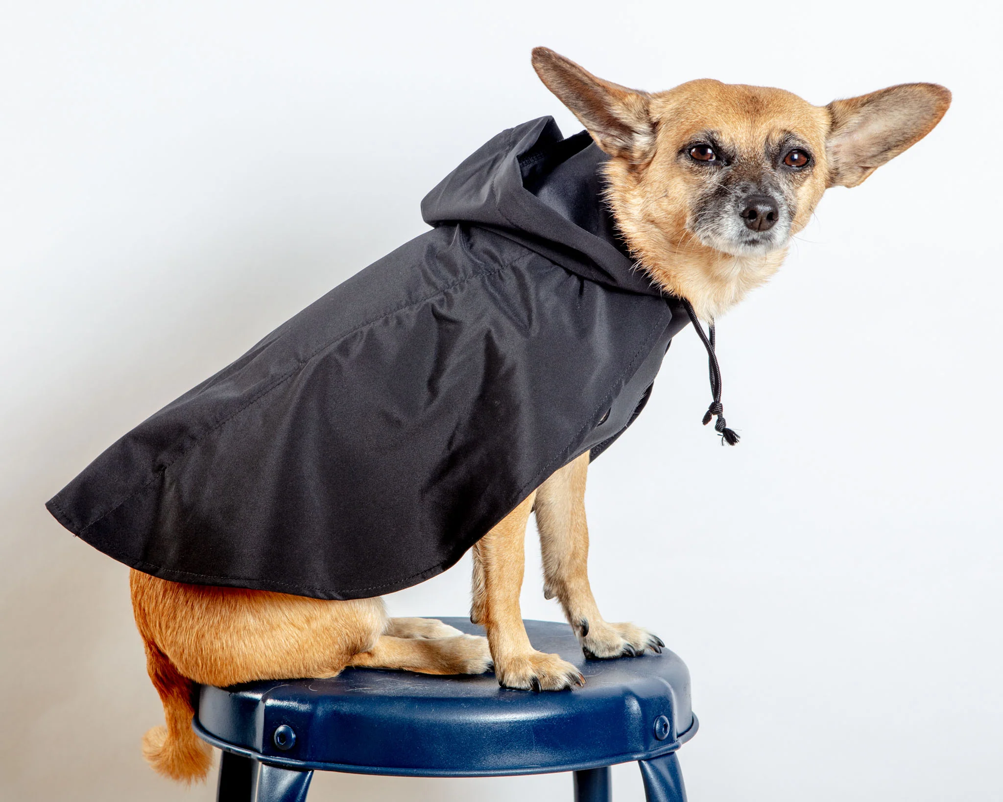 Action Jacket Pull-On Raincoat in Black (Made in the USA) - Image 5