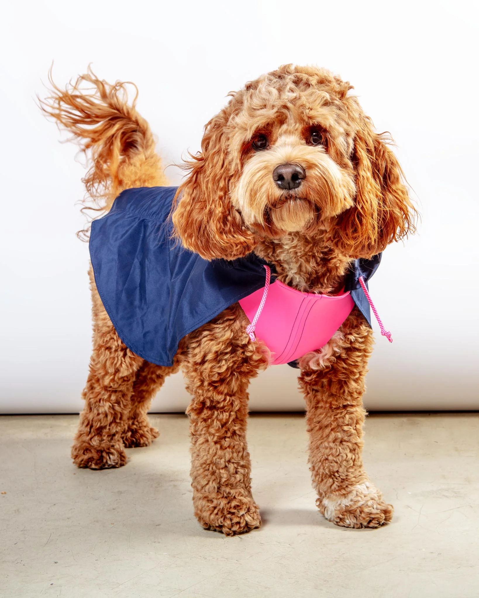 Action Jacket Pull-On Raincoat in Navy + Neon Pink (Made in NYC) - Image 4