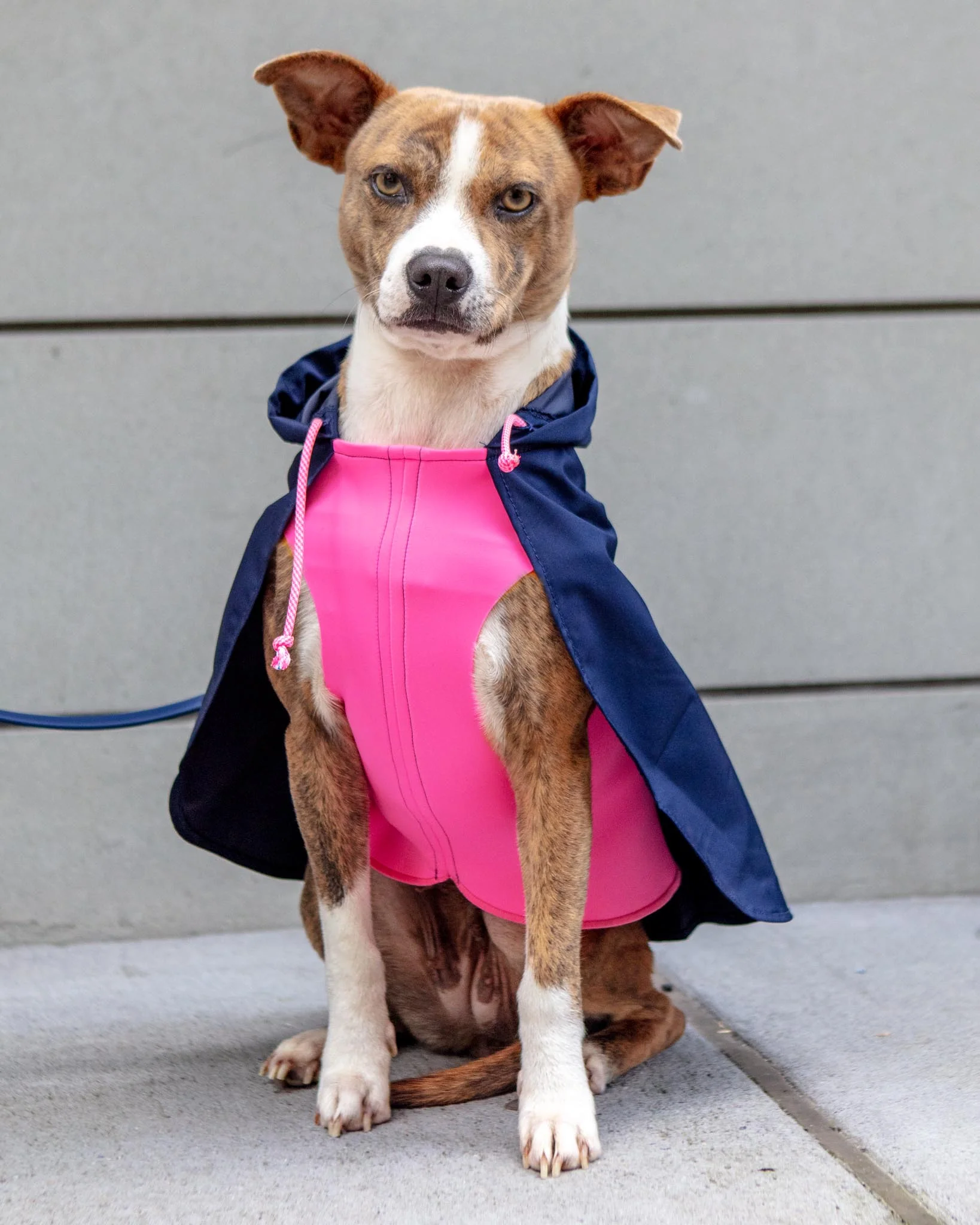 Action Jacket Pull-On Raincoat in Navy + Neon Pink (Made in NYC) - Image 6