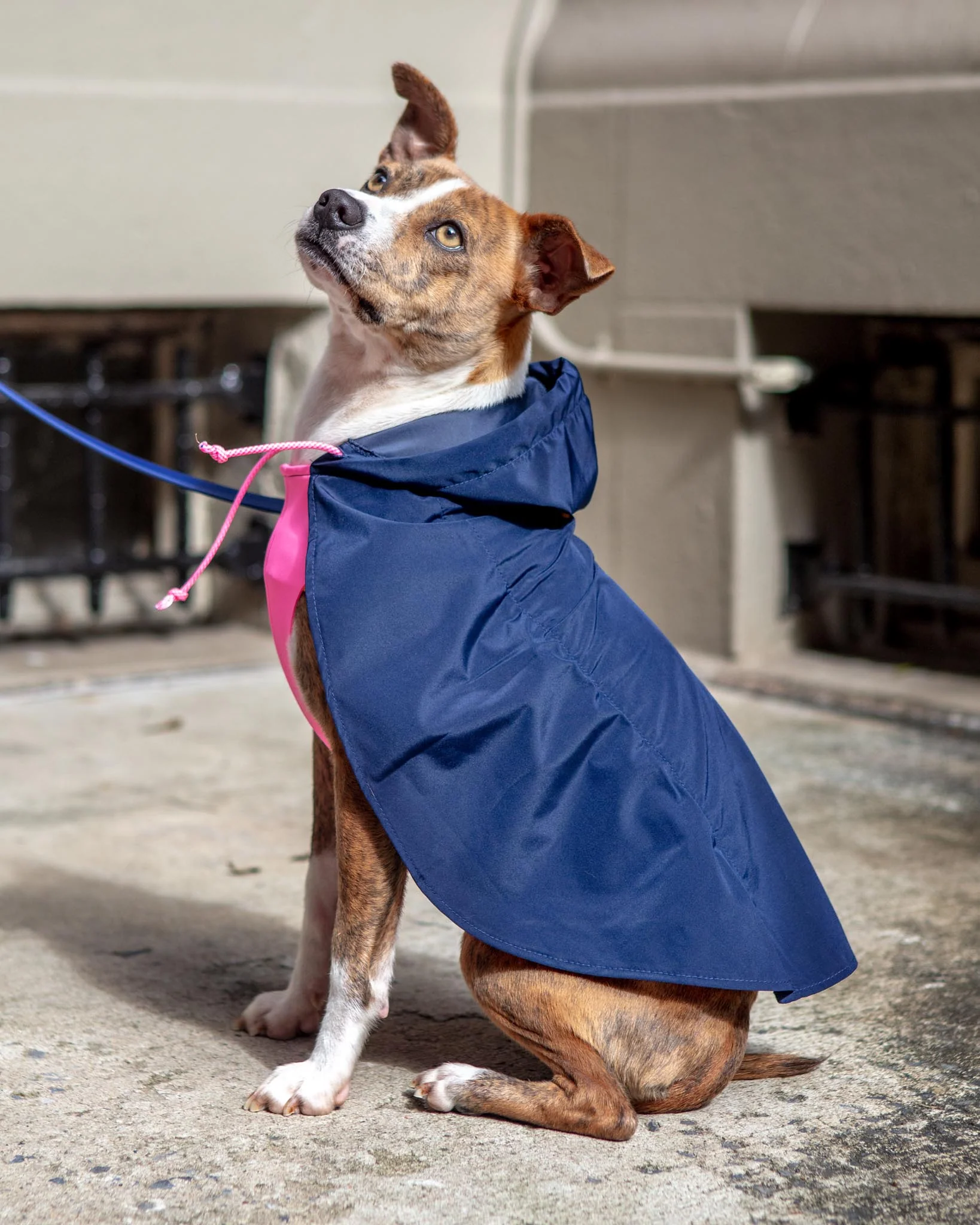 Action Jacket Pull-On Raincoat in Navy + Neon Pink (Made in NYC) - Image 8