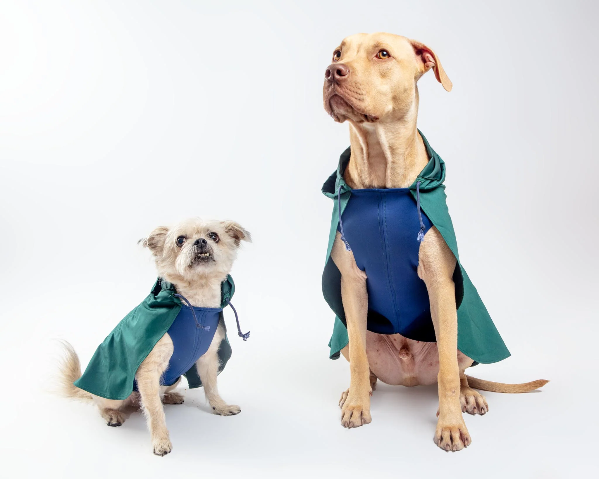 Action Jacket Pull-On Raincoat in Hunter Green & Navy (Made in NYC) - Image 3
