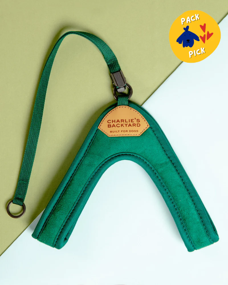 Adjustable Easy Dog Harness in Green - Image 2