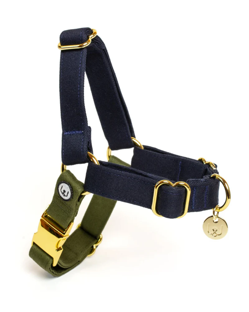 Adjustable No-Pull Dog Harness in Navy & Olive