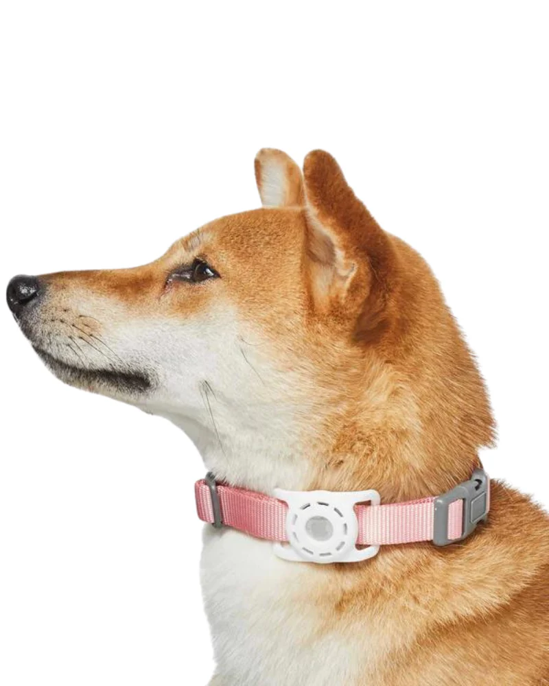 AirTag Holder For Pet Collar - Image 4
