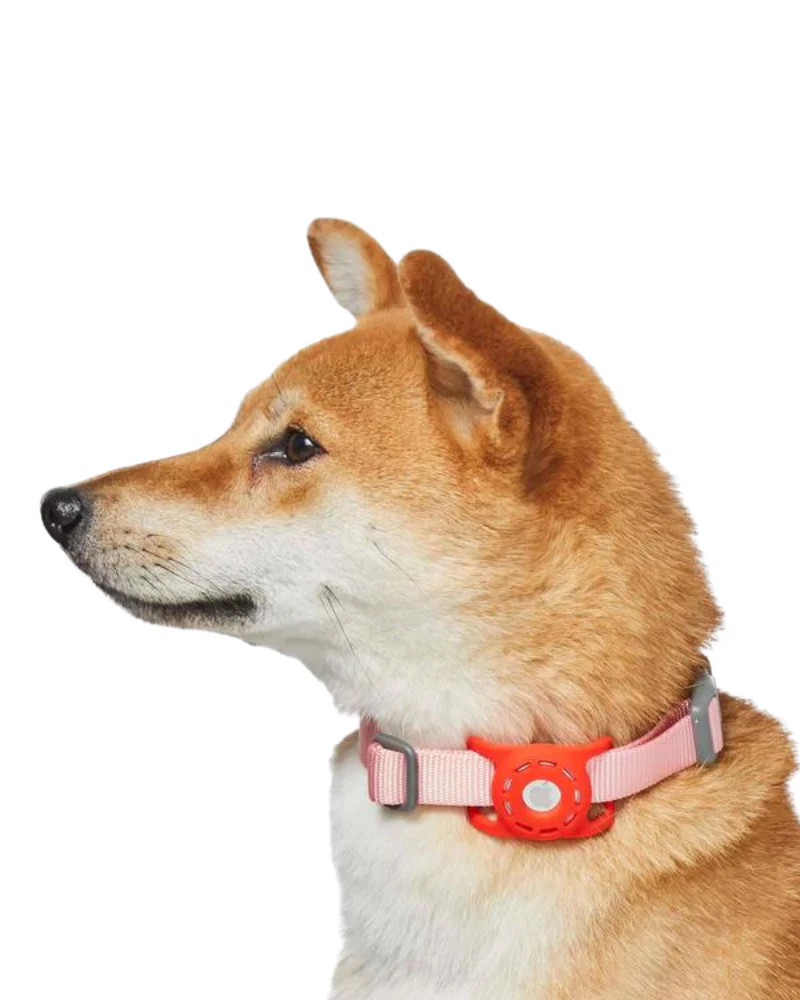 AirTag Holder For Pet Collar - Image 6