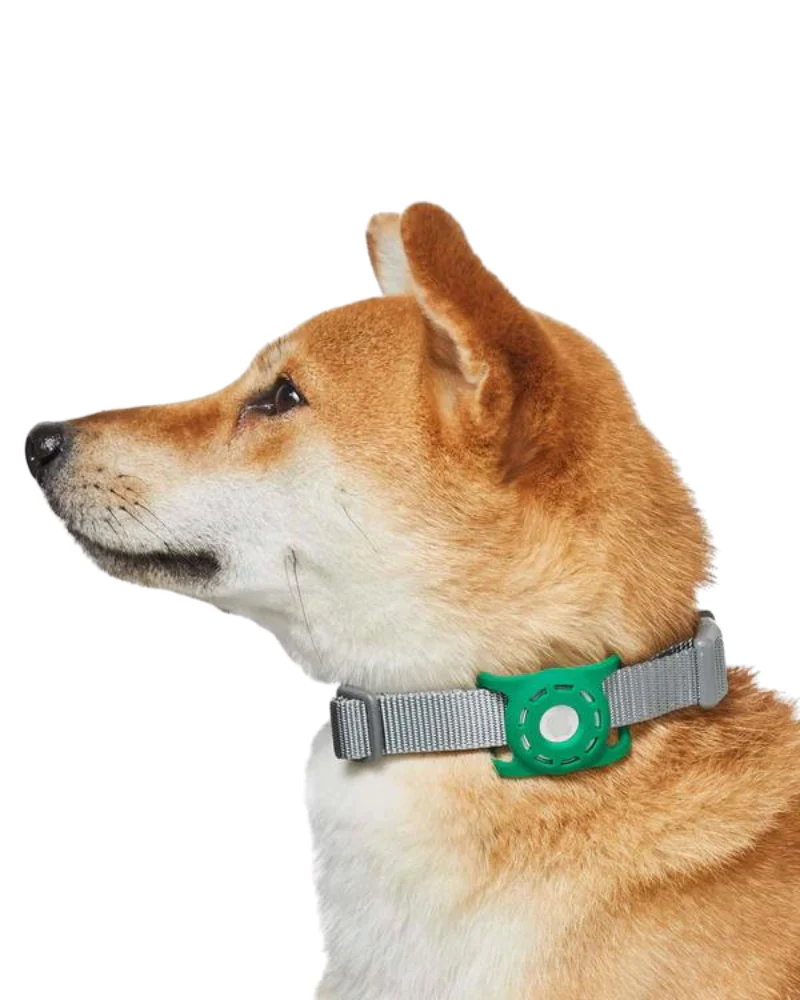 AirTag Holder For Pet Collar - Image 8
