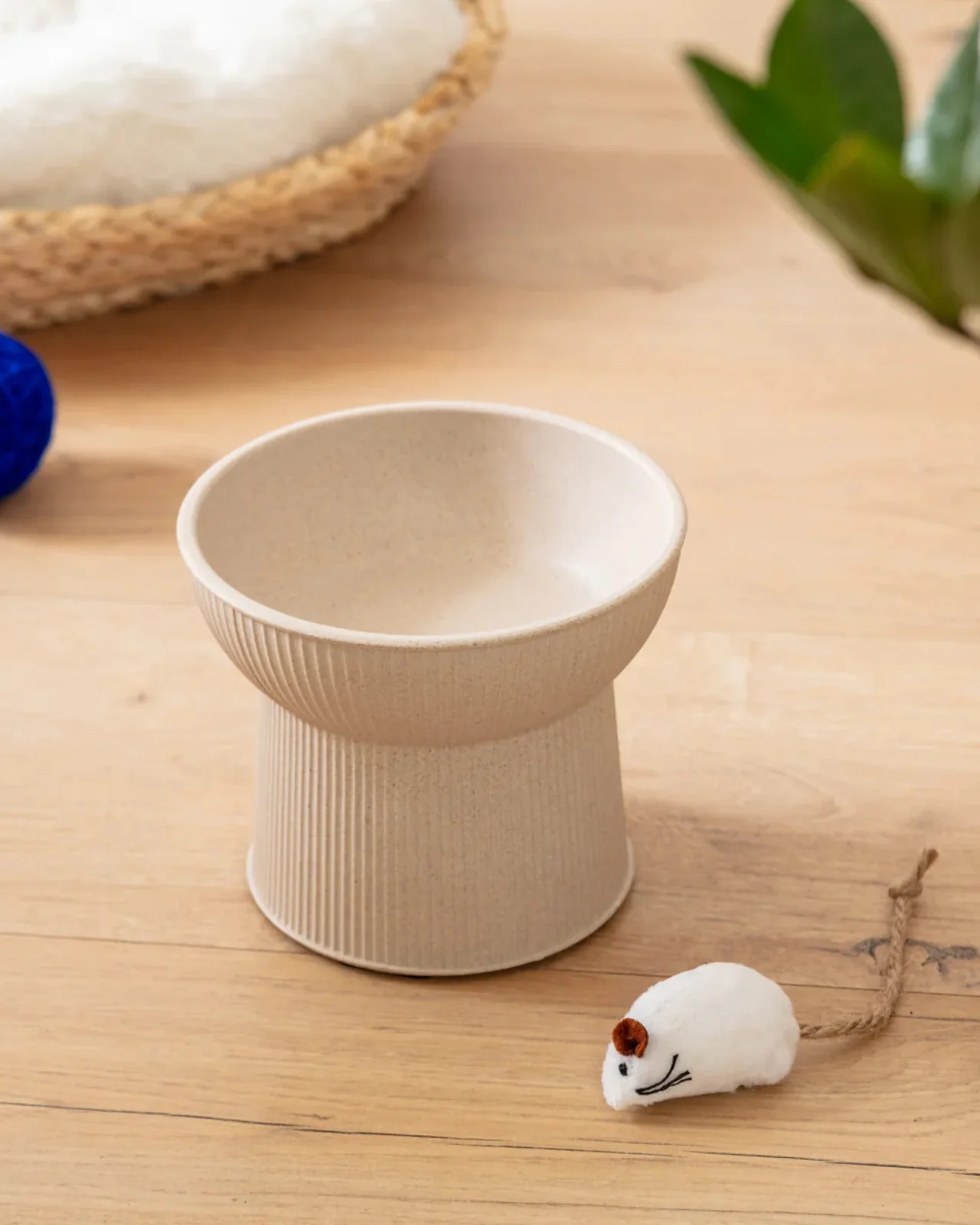 Albie Bamboo Cat Bowl - Image 2
