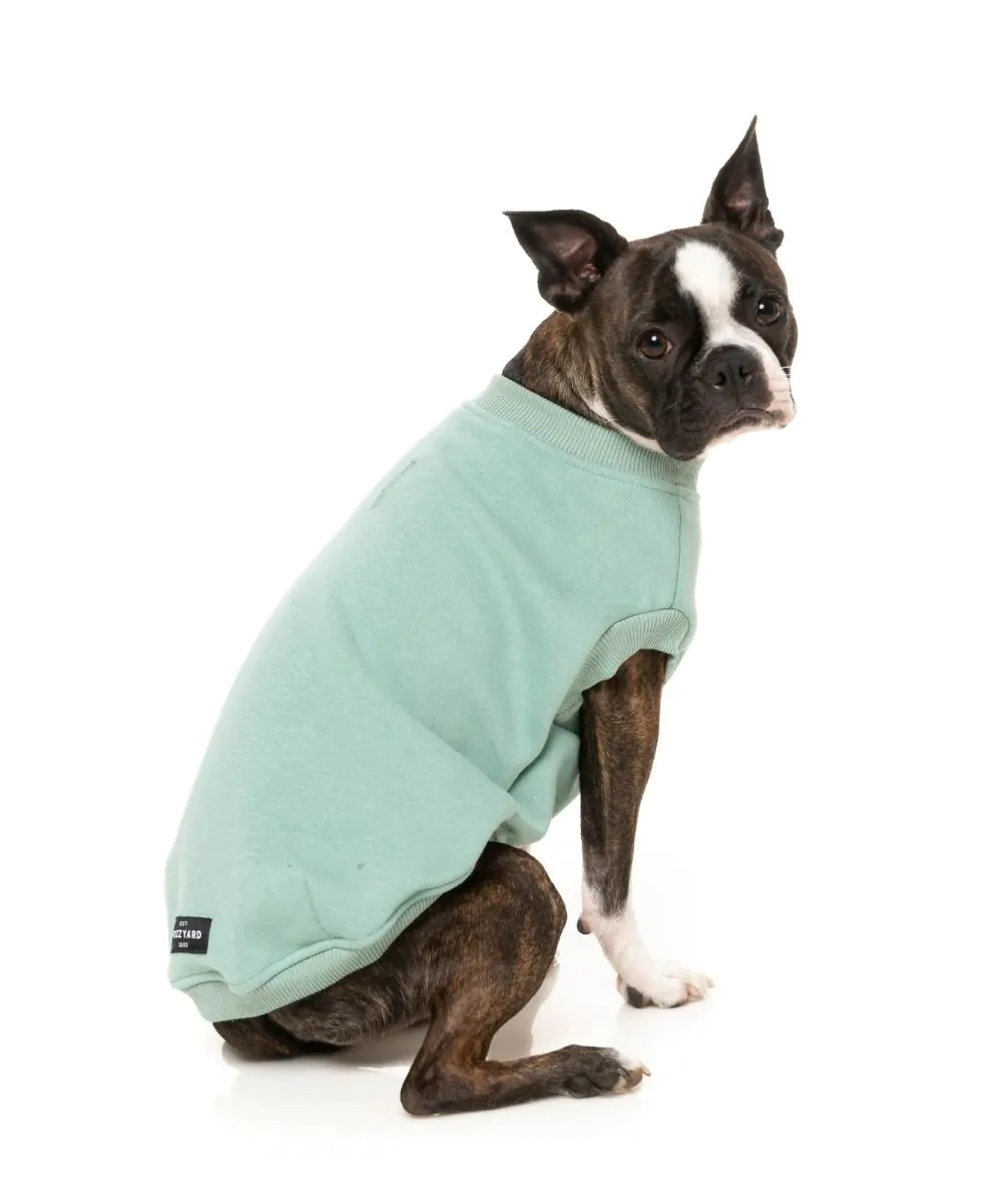 All Day Sweatshirt in Mint (FINAL SALE)