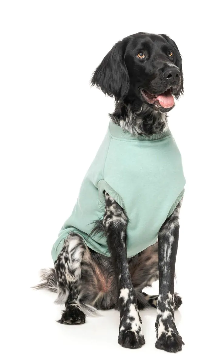 All Day Sweatshirt in Mint (FINAL SALE) - Image 3