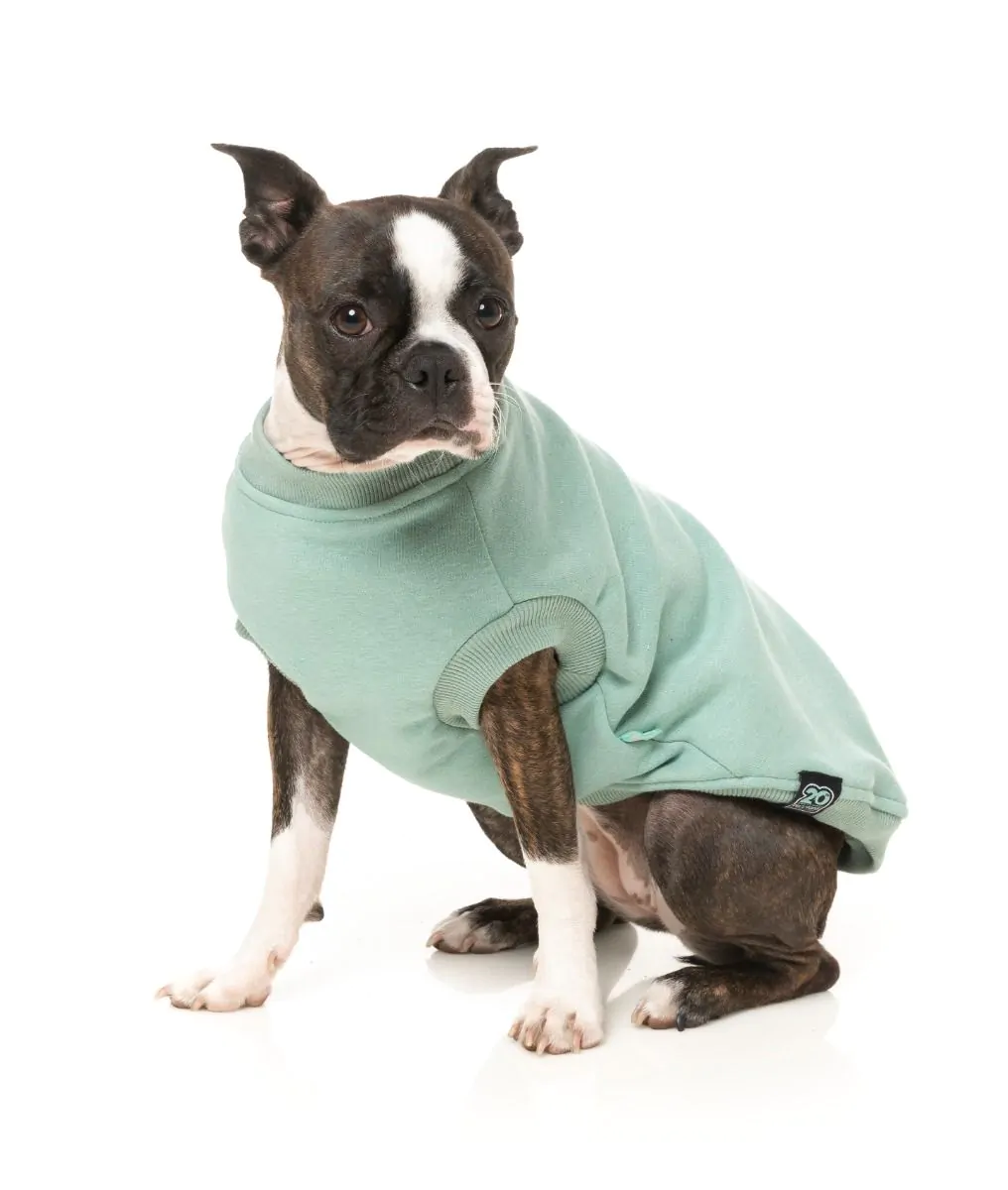 All Day Sweatshirt in Mint (FINAL SALE) - Image 4