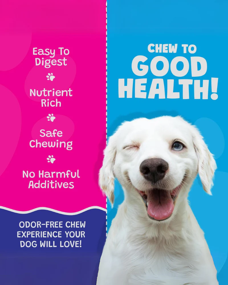 All Natural Coconut Dog Bone Treat (2-Pack) - Image 3