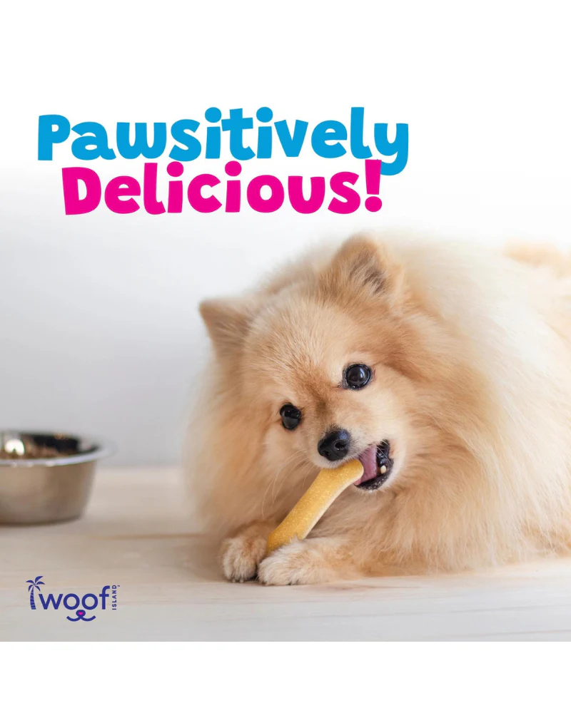 All Natural Coconut Dog Bone Treat (2-Pack) - Image 5