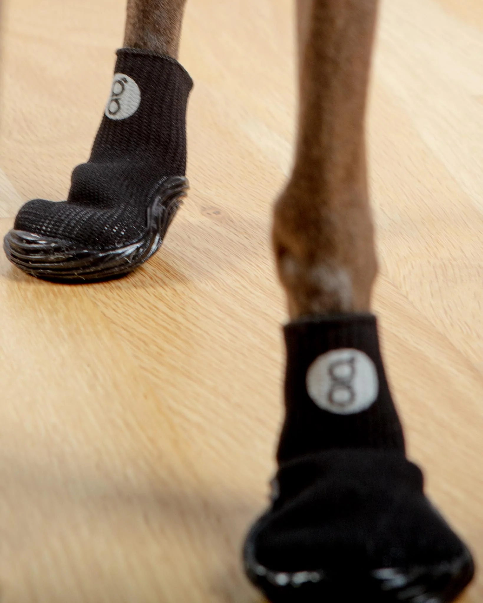All Season & All Terrain Stretch and Go Dog Boots in Black (CLEARANCE) - Image 4