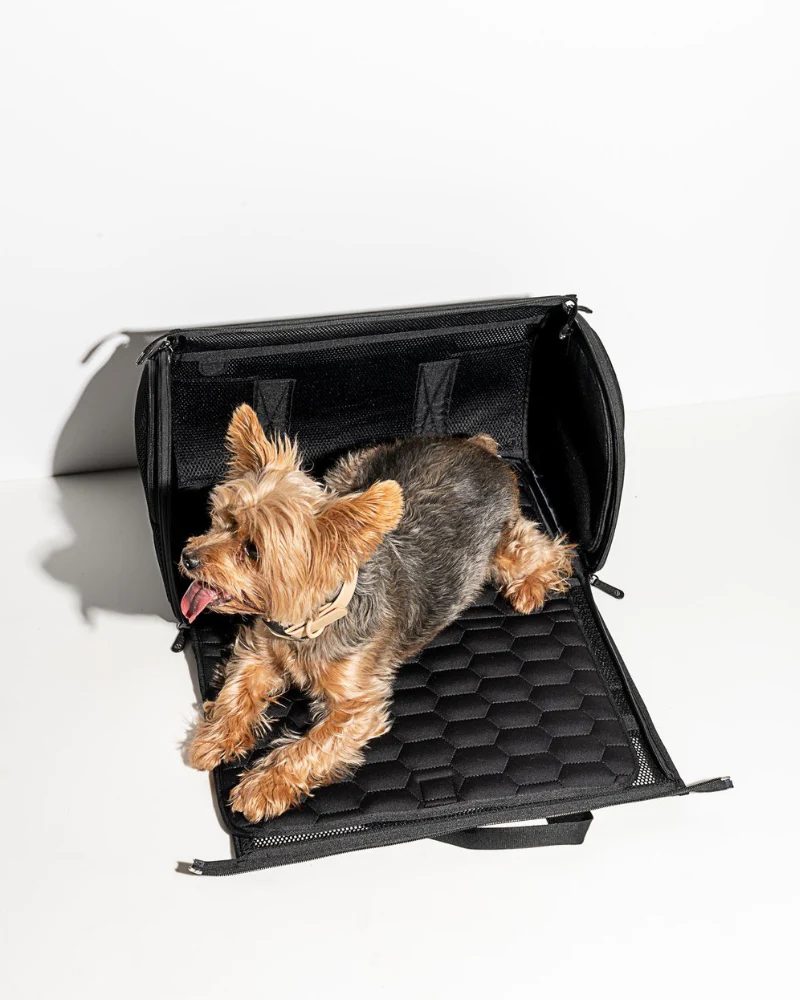 All-Travel Pet Carrier in Black - Image 2