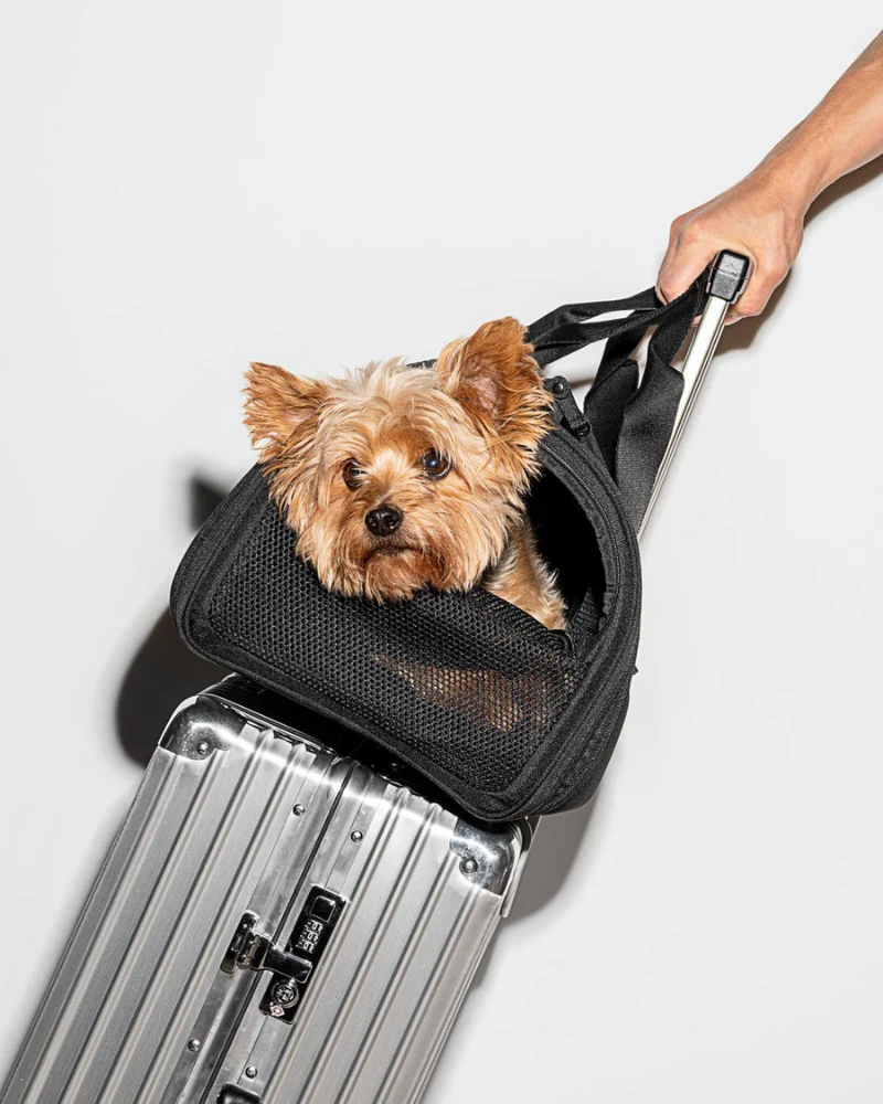 All-Travel Pet Carrier in Black - Image 4