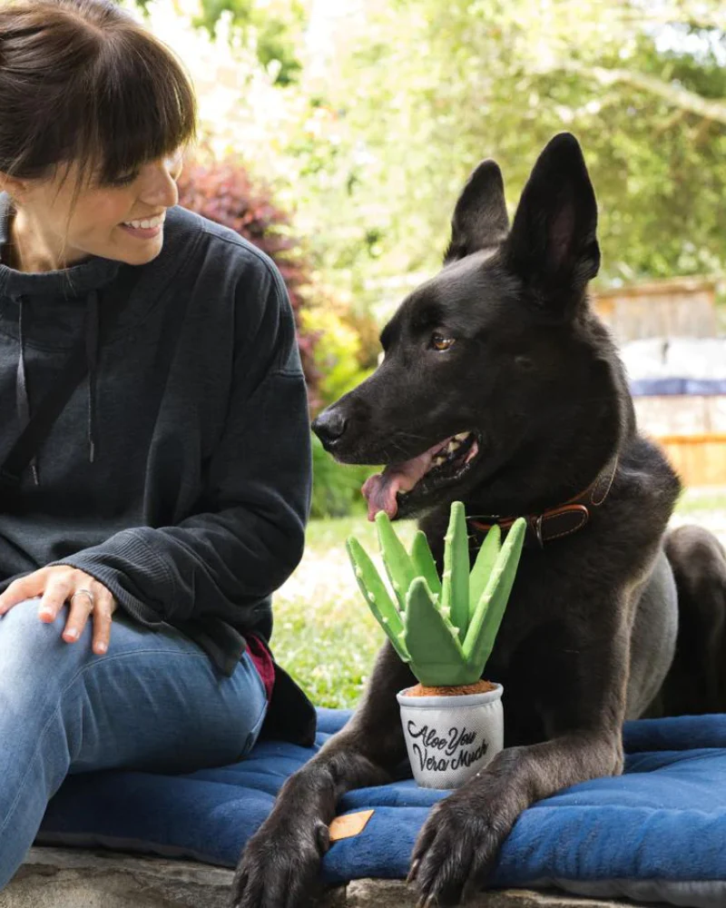 Aloe You Vera Much Squeaky Dog Toy (FINAL SALE) - Image 2