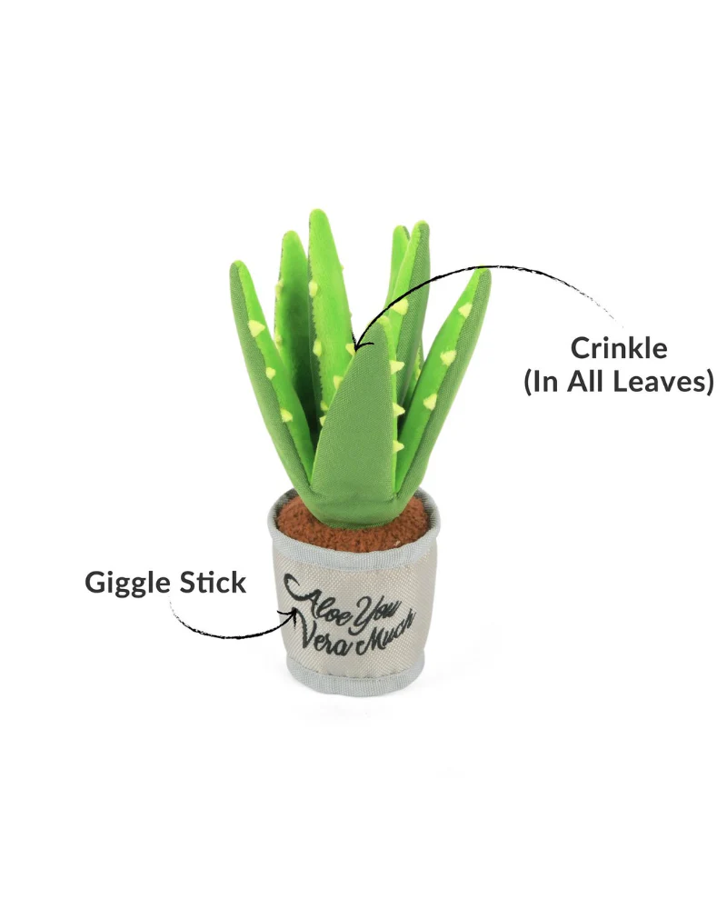 Aloe You Vera Much Squeaky Dog Toy (FINAL SALE) - Image 5