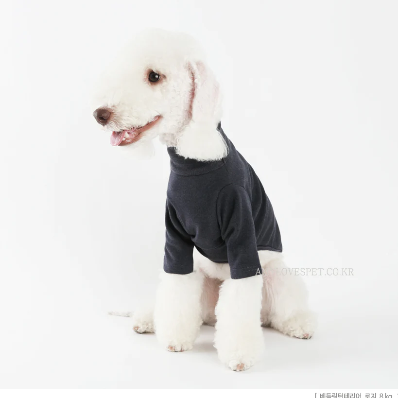 ALP | B-Turtleneck in Navy - Image 3
